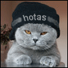   hotas